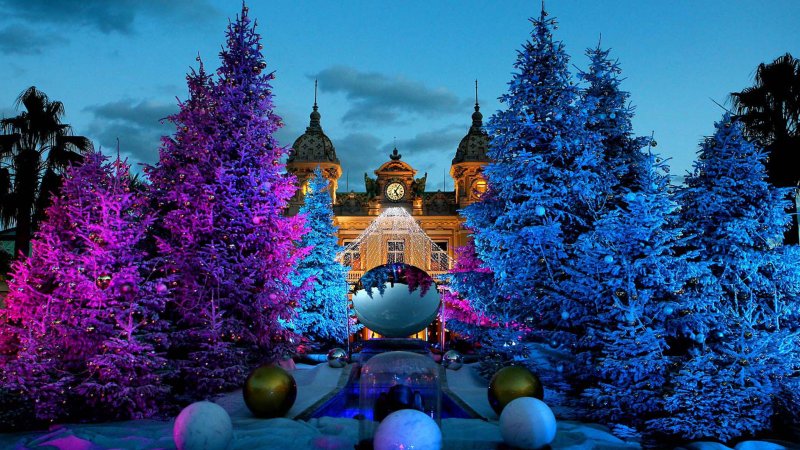 Новогодняя природа