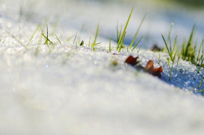 Весна на рабочий стол