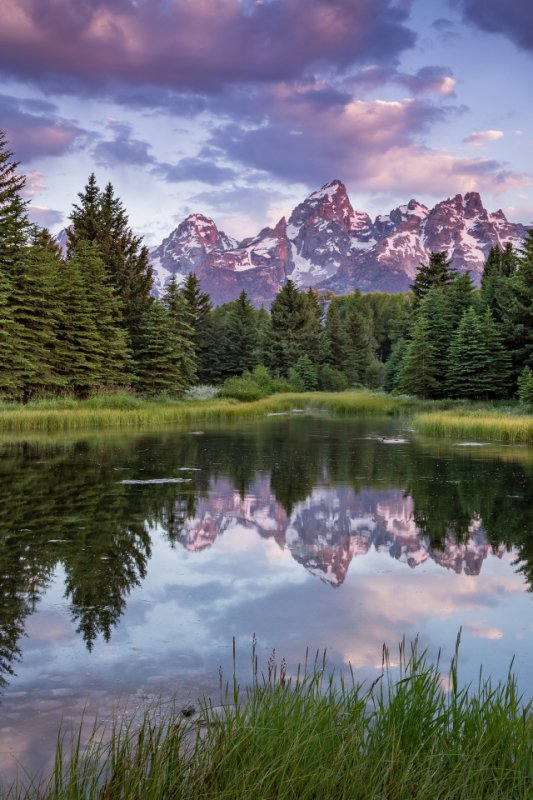 Красивая природа