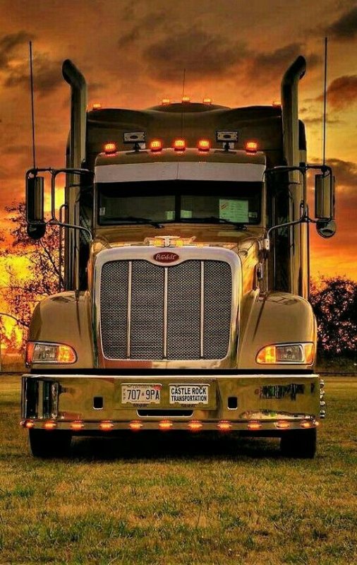 Трак Петербилт 386