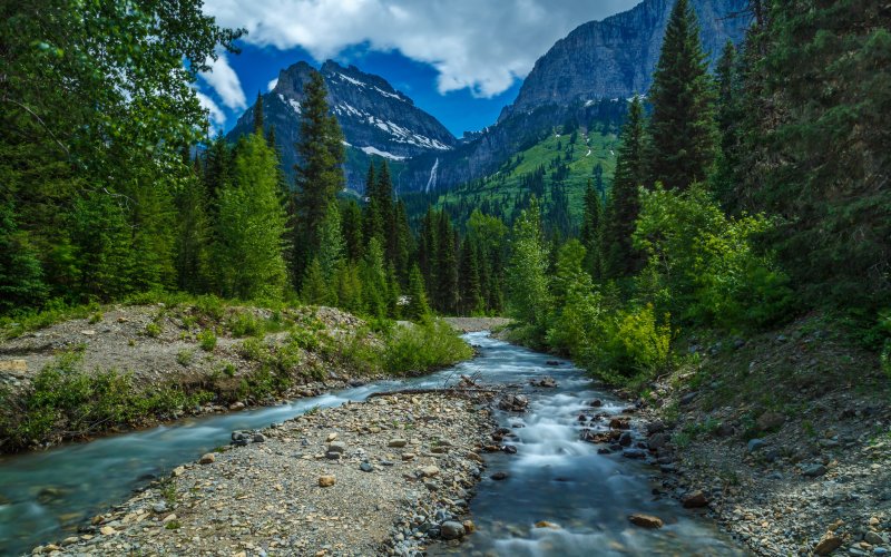 Горы реки лес Алтай