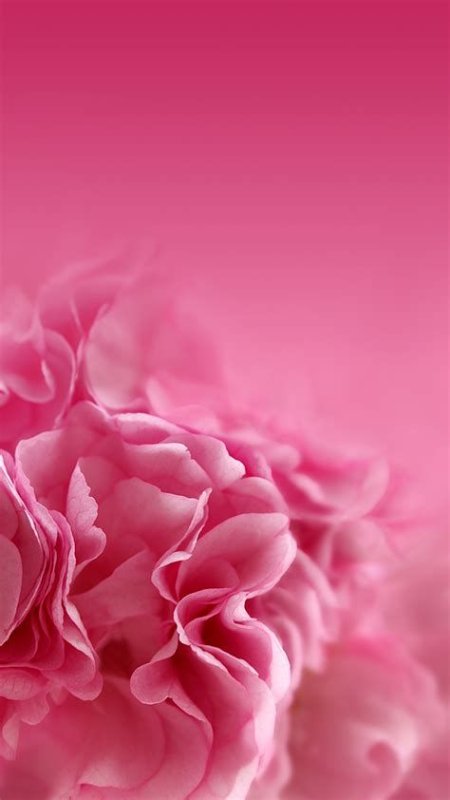 Oppo заставка для телефона