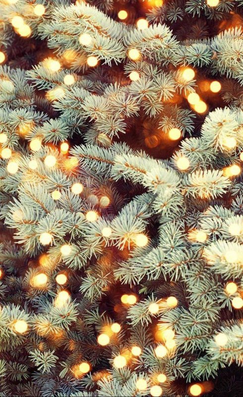 Новогодняя тематика