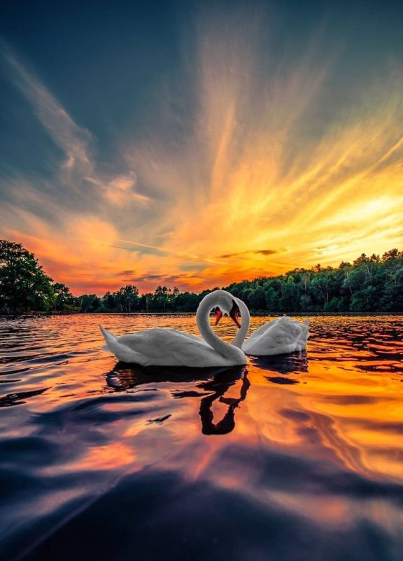 Счастье природа