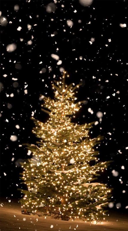 Новогодняя заставка