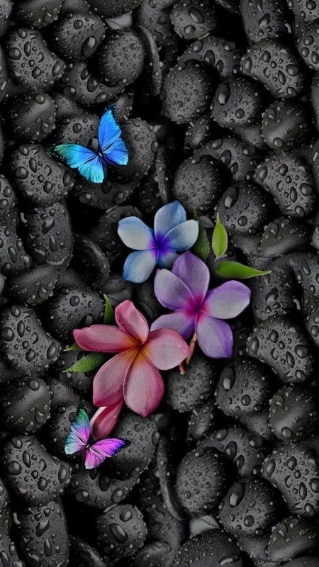 Фон на телефон красивые