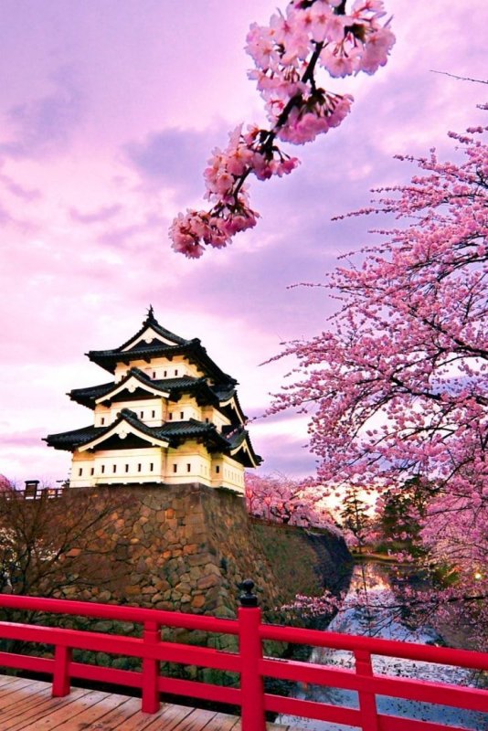 Хиросаки Япония