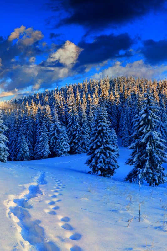 Зимний закат