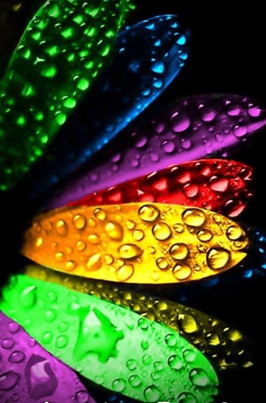 Стильные обои на телефон