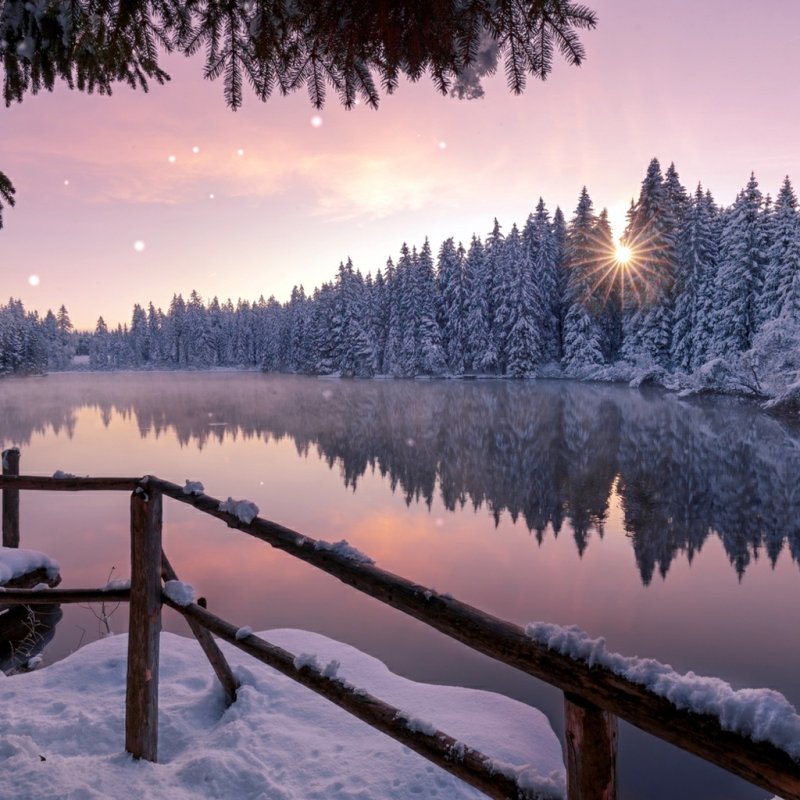 Зимняя природа