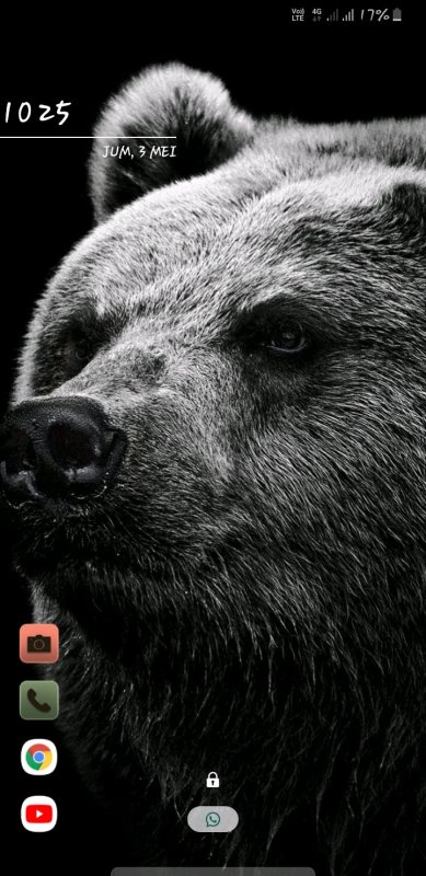 Медведь Гризли черный