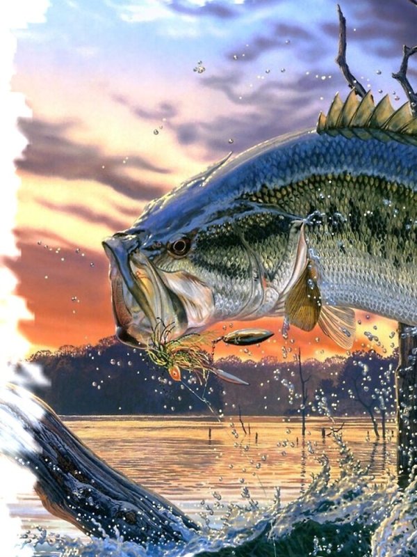 Хищные рыбы