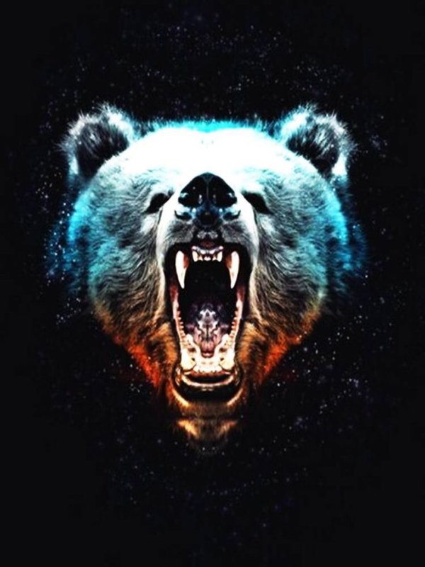 Злой медведь