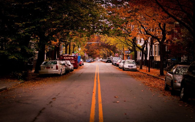 Штат Джорджия осень