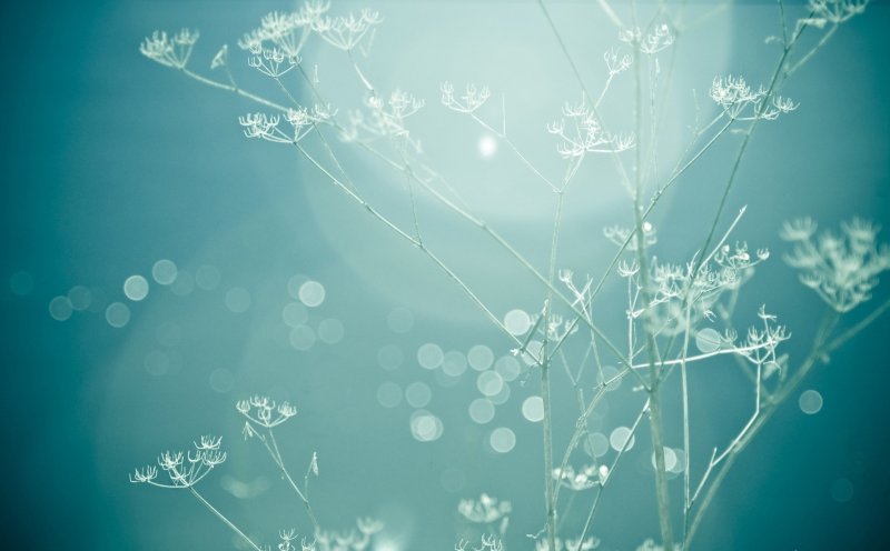 Стильный фон