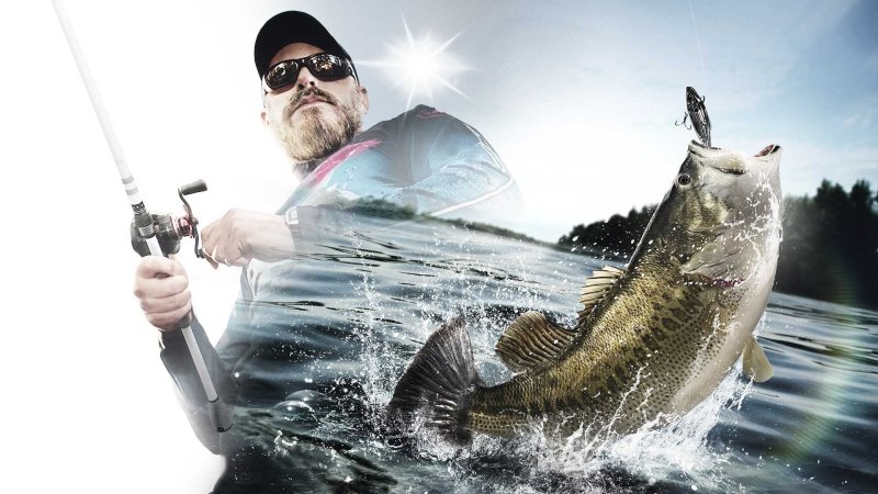 Охота и рыбалка