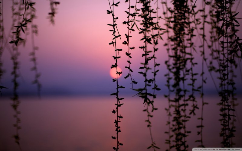 Красивый пейзаж