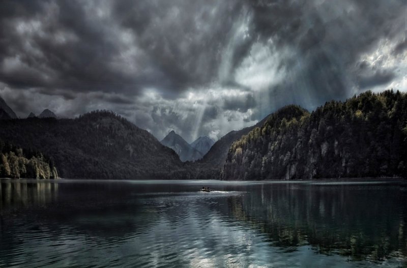 Норвегия горы лес туман