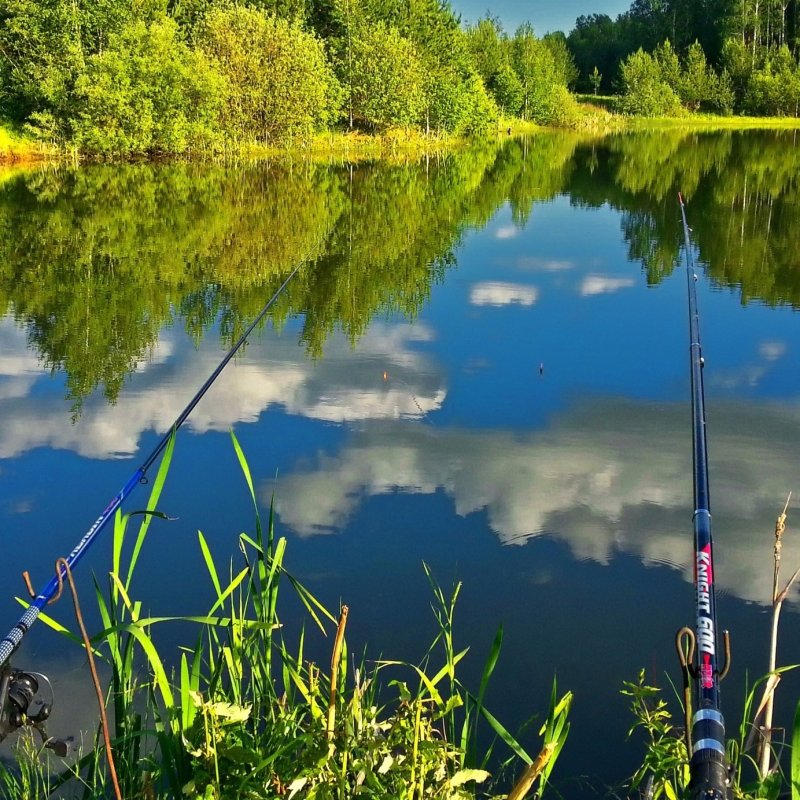 Река Иреек Борисовский