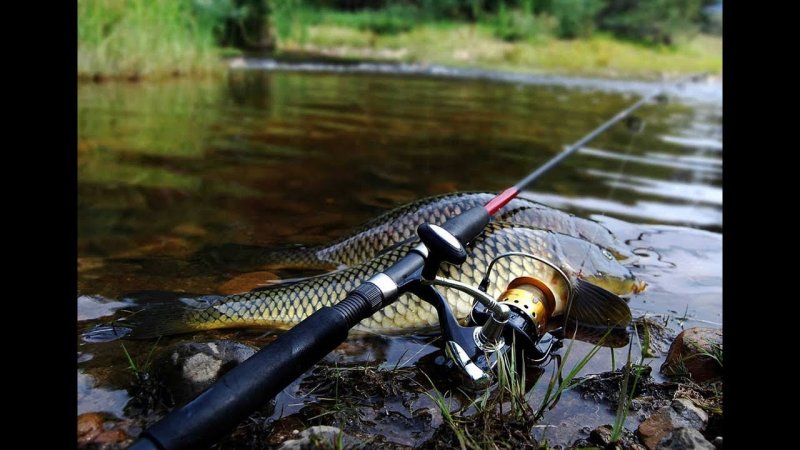 Обои рыбалка