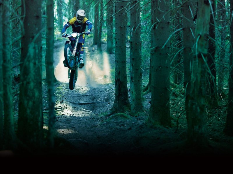 Мотоцикл в лесу