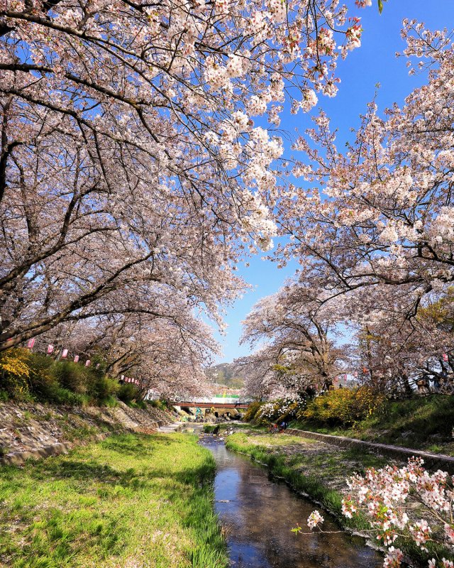 Красивая Весна