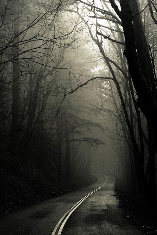 Мрачный пейзаж