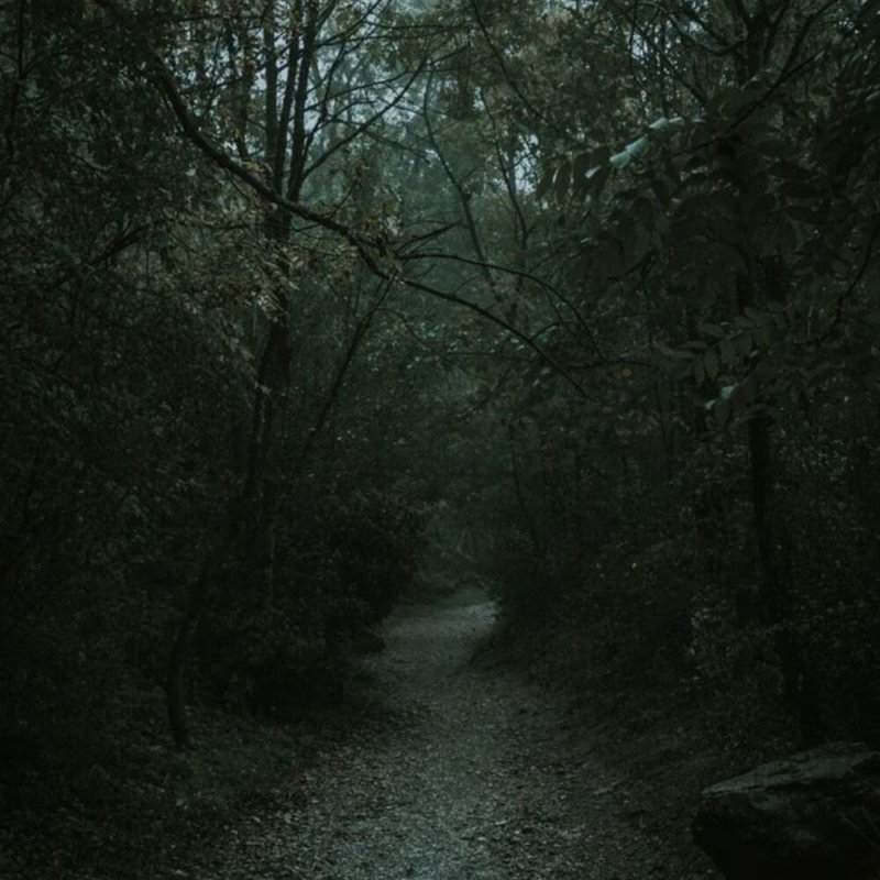 Страшный лес