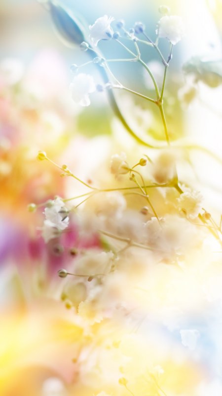 Красивый весенний фон