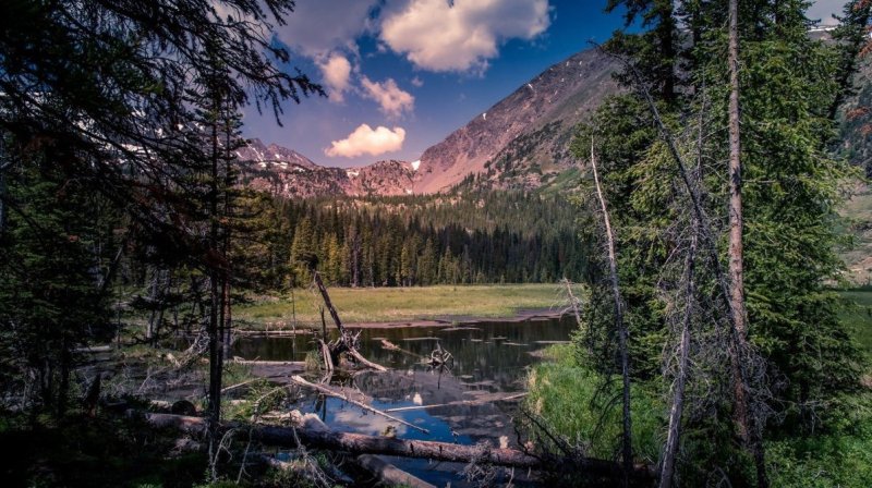 Горный Алтай 1920