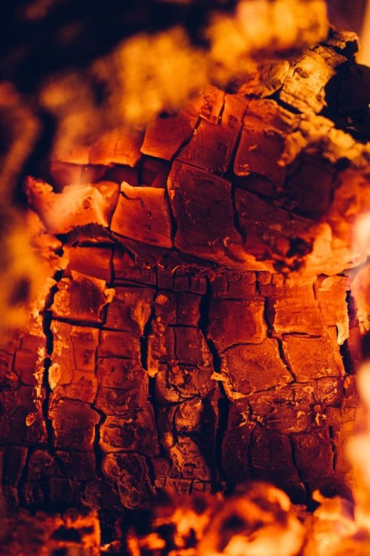 Тлеющее дерево