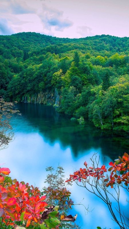 Красивая природа