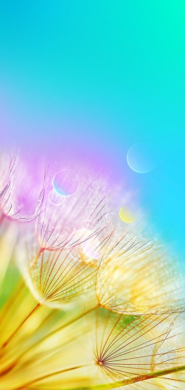 Красивый фон на заставку телефона