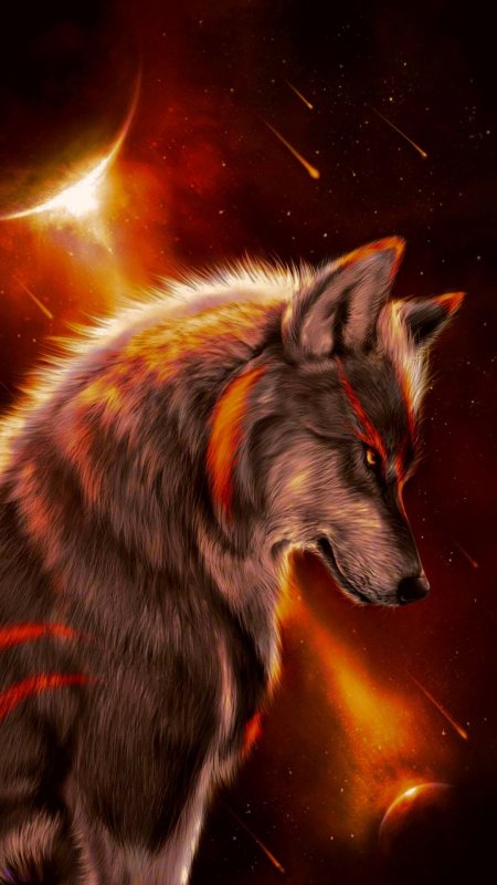 Красивый волк