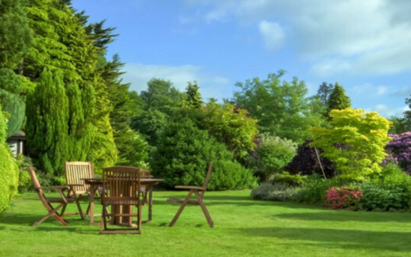 Красивый ландшафт