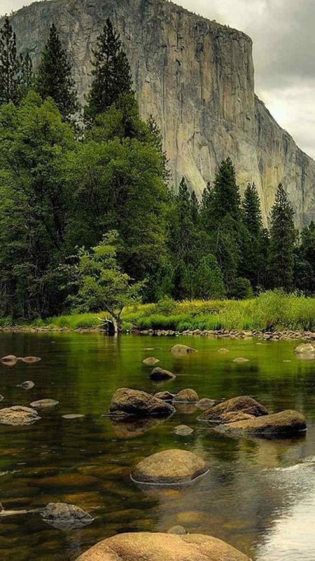 Заставка природа