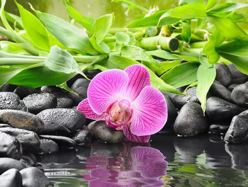 Заставка на рабочий стол