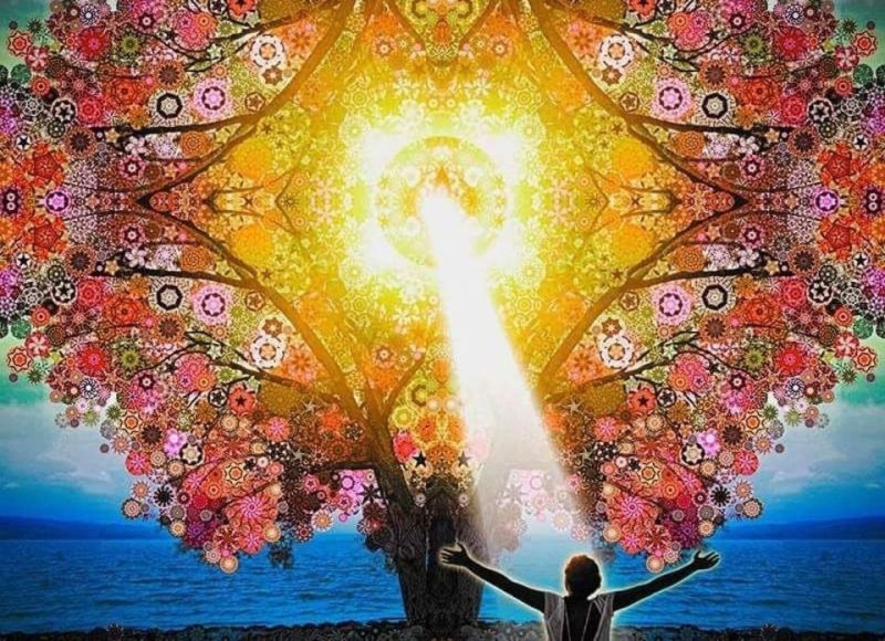 Изобилие и процветание богатство