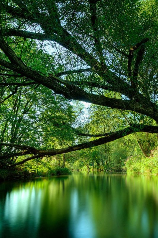 Красивая природа