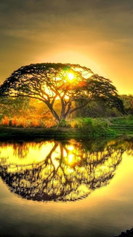 Необычные пейзажи природы