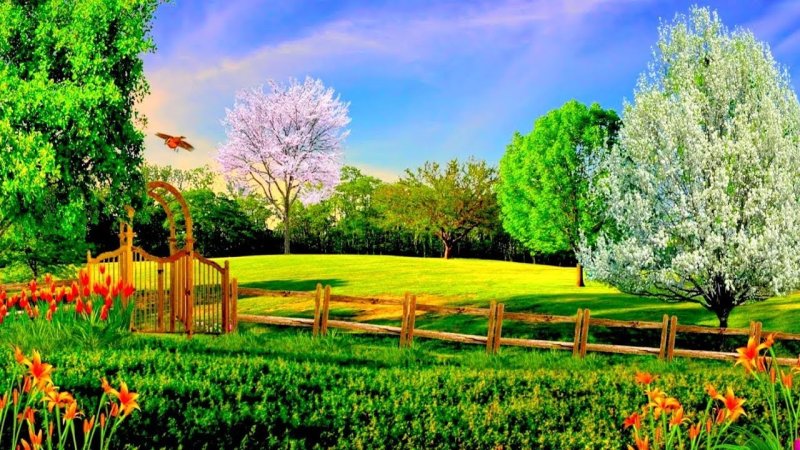 Лето картинки