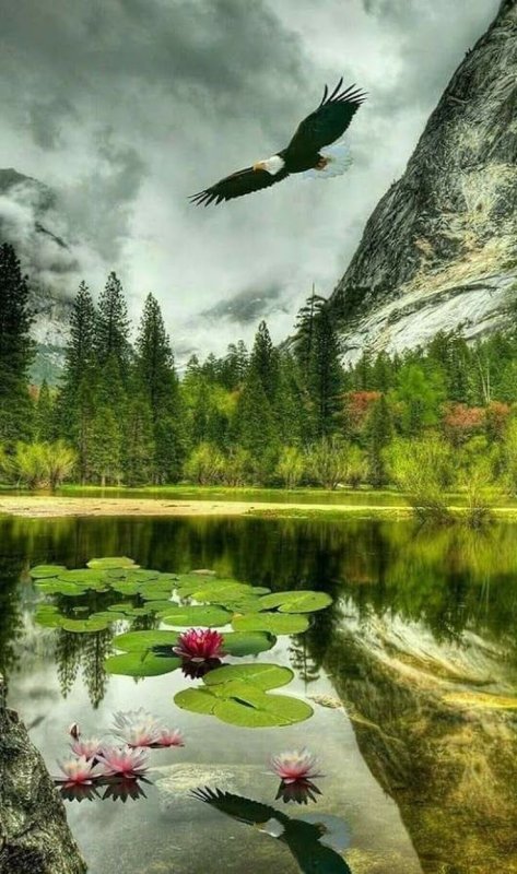 Шикарная природа