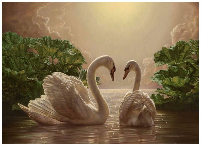 Лебеди живопись