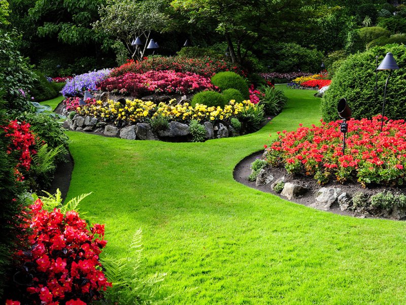 Хелен парк+ ландшафт