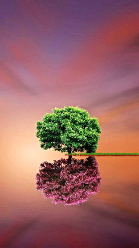 Красивое дерево