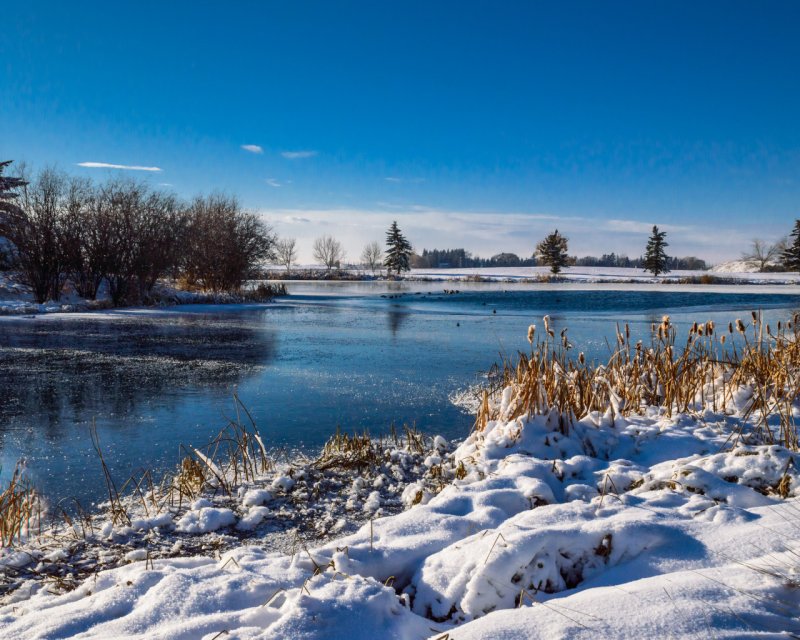 Зимний пейзаж