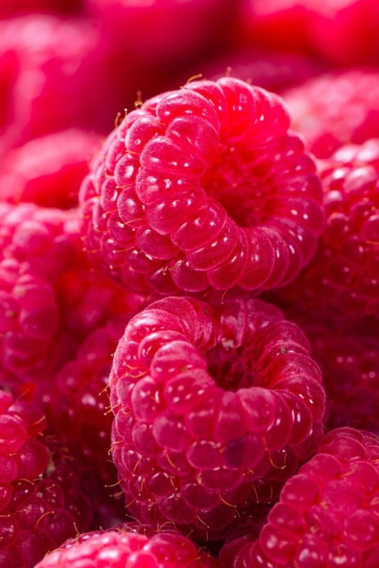 Фрукты малина