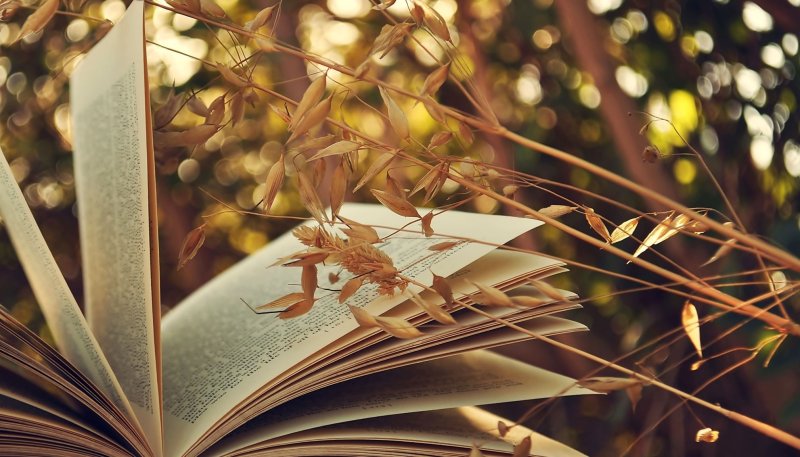 Стол «книга»