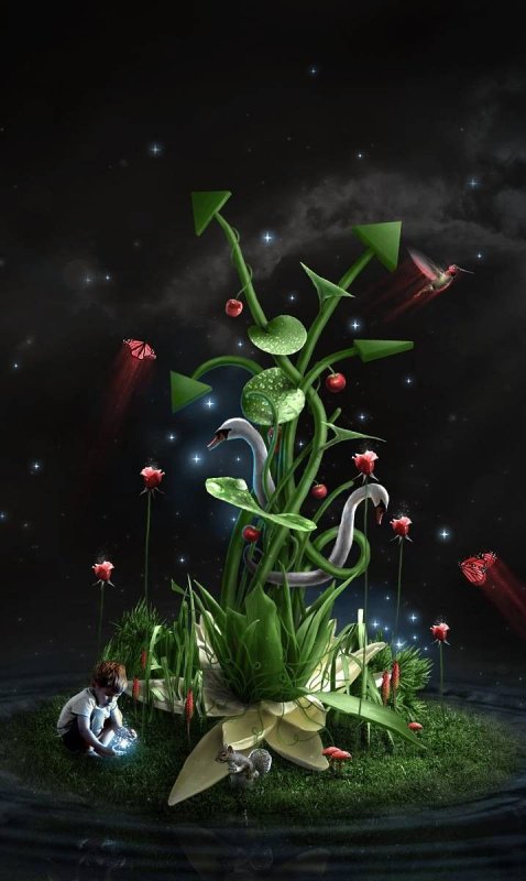 Волшебный цветок