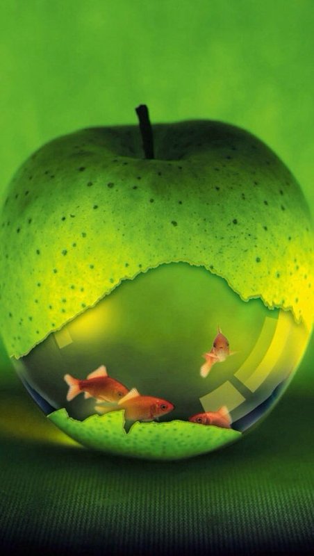 Заставка на экран телефона необычные